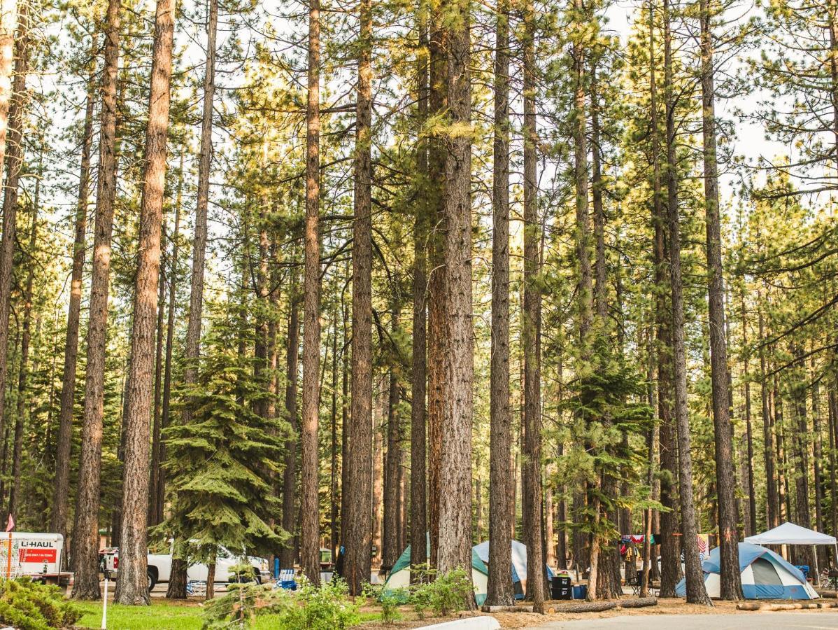 Tahoe Valley Cottage 2 South Lake Tahoe Eksteriør billede